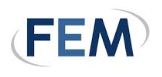 FEM